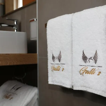Hotel Galli's - Centro 3*